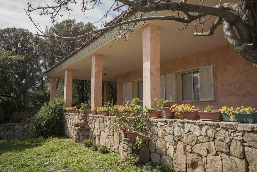 Fumu Ludurru Farm Stay Padru Esterno foto