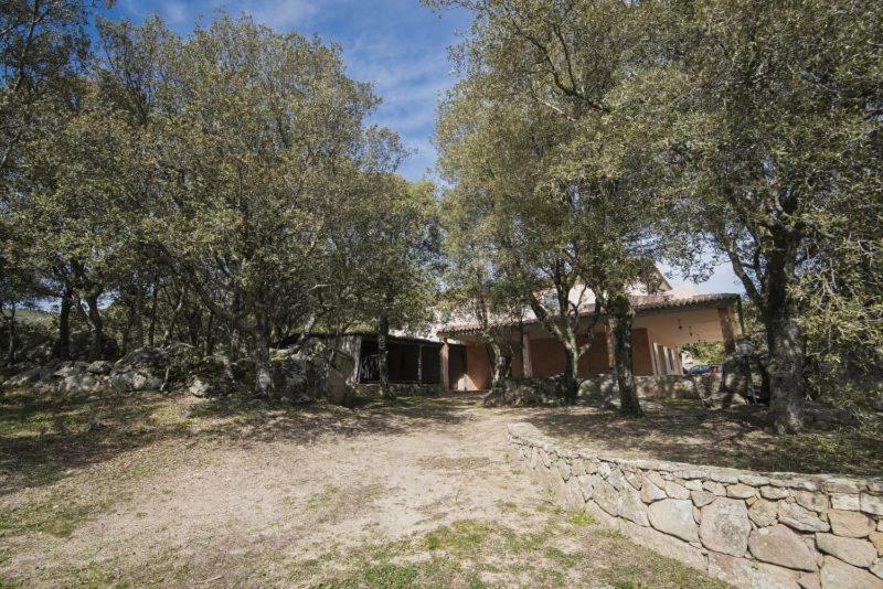 Fumu Ludurru Farm Stay Padru Esterno foto